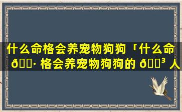 什么命格会养宠物狗狗「什么命 🌷 格会养宠物狗狗的 🐳 人」